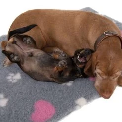 Manta Térmica Isobed Para Perros 23 Manta Térmica Isobed Para Perros -Trixie Ventas 65084 isobed zooplus dsc3141 2