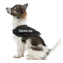 Julius K9 Arnés Julius-K9 IDC® Power Negro Para Perros 14 Julius K9 Arnés Julius-K9 IDC® Power Negro Para Perros -Trixie Ventas 65467 julius k9 idc powergeschirr schwarz 7
