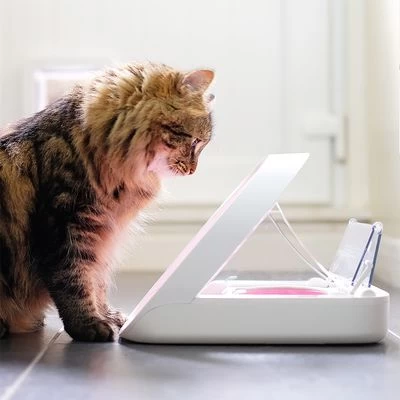 Sureflap Colgantes Identificativos Para Gateras Y Comederos Automáticos 4 Sureflap Colgantes Identificativos Para Gateras Y Comederos Automáticos - Imagen 4