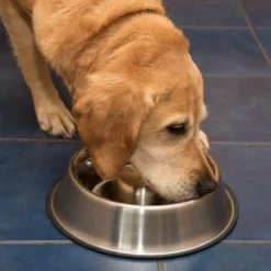 Comedero Antivoracidad De Acero Para Perros 18 Comedero Antivoracidad De Acero Para Perros -Trixie Ventas 66349 antischlingnapf fg 1011 1