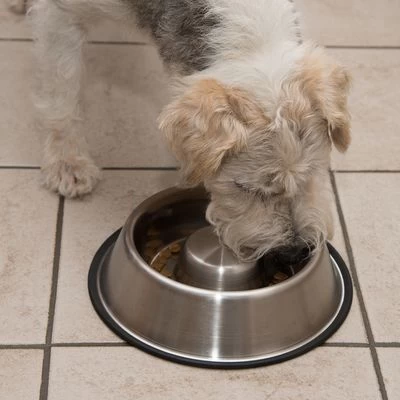 Comedero Antivoracidad De Acero Para Perros 10 Comedero Antivoracidad De Acero Para Perros - Imagen 10