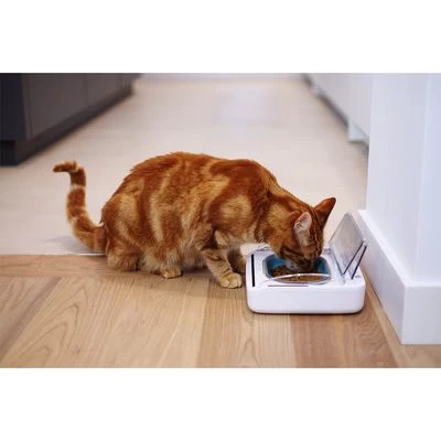 Comedero Hermético SureFeed 2 Comedero Hermético SureFeed - Imagen 2