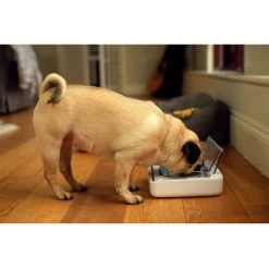 Comedero Hermético SureFeed 15 Comedero Hermético SureFeed -Trixie Ventas 69308 pla 6 luftdichte futt 3