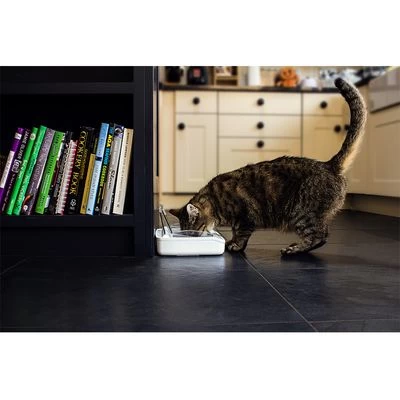 Comedero Hermético SureFeed 7 Comedero Hermético SureFeed - Imagen 7