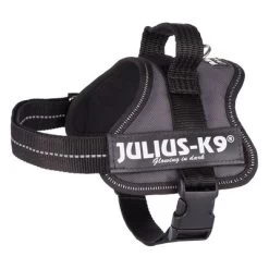 Julius K9 Arnés JULIUS-K9® Power Antracita Para Perros 10 Julius K9 Arnés JULIUS-K9® Power Antracita Para Perros -Trixie Ventas 69338 pla trixie julius k9 farbangabe hs 03 15020za 3