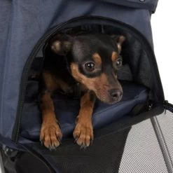 Cochecito Para Mascotas Pequeñas Sporty Pet Stroller 19 Cochecito Para Mascotas Pequeñas Sporty Pet Stroller -Trixie Ventas 71006 sporty pet stroller fg 8107 6