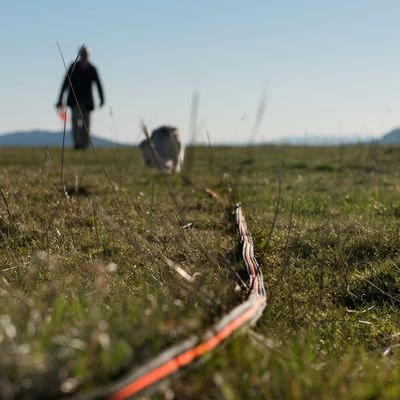 Correa De Rastreo Heim Engomada Para Perros 3 Correa De Rastreo Heim Engomada Para Perros - Imagen 3