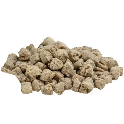 Alpha Spirit The Only One Wild Fish 2 Alpha Spirit The Only One Wild Fish - Imagen 2