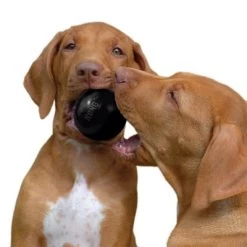 KONG Extreme Ball -Trixie Ventas 74241 kong extremeball hs 03 6