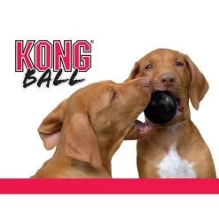 KONG Extreme Ball -Trixie Ventas 74241 kong extremeball hs 04 2