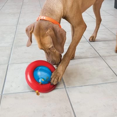 KONG Gyro Juguete Rellenable Para Perros 2 KONG Gyro Juguete Rellenable Para Perros - Imagen 2