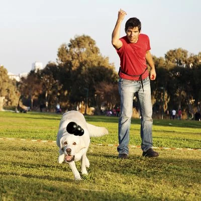 KONG Extreme Juguete Negro Para Perros 7 KONG Extreme Juguete Negro Para Perros - Imagen 7