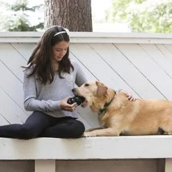 KONG Extreme Juguete Negro Para Perros 23 KONG Extreme Juguete Negro Para Perros -Trixie Ventas 74319 kongextremeschwarz hs 03 2