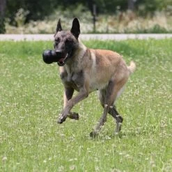 KONG Extreme Juguete Negro Para Perros 24 KONG Extreme Juguete Negro Para Perros -Trixie Ventas 74319 kongextremeschwarz hs 04 9