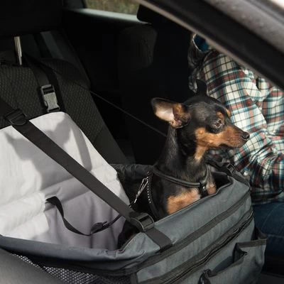 Asiento Para El Coche Booster 6 Asiento Para El Coche Booster - Imagen 6