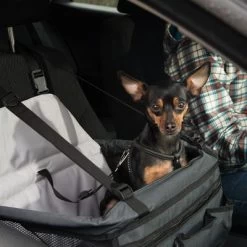 Asiento Para El Coche Booster 18 Asiento Para El Coche Booster -Trixie Ventas 78030 autositz booster fg 6388 6