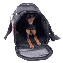 Bolso De Transporte A Cuadros Para Mascotas 22 Bolso De Transporte A Cuadros Para Mascotas -Trixie Ventas 79331 tragetasche hund fg 7511 8