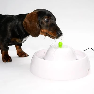 Bebedero Fuente Neptuno 3 Bebedero Fuente Neptuno - Imagen 3