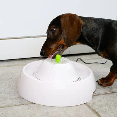 Bebedero Fuente Neptuno 16 Bebedero Fuente Neptuno - Imagen 16