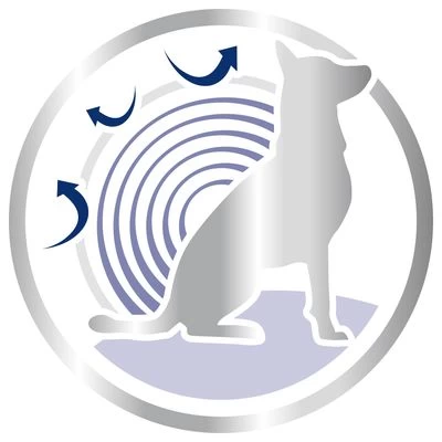 Royal Canin Maxi Ageing 8+ 4 Royal Canin Maxi Ageing 8+ - Imagen 4