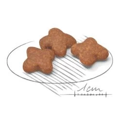 Royal Canin Mini Adult 8+ -Trixie Ventas 80653 royalcanin miniadult 8plus croc hs 02 4