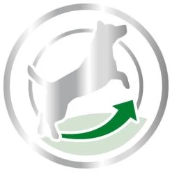 Royal Canin Mini Adult 8+ -Trixie Ventas 80653 royalcanin miniadult 8plus picto hs 03 6