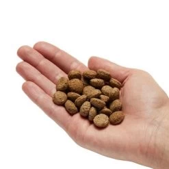 MERA Pure Sensitive Con Pavo Y Arroz Para Perros 7 MERA Pure Sensitive Con Pavo Y Arroz Para Perros -Trixie Ventas 81466 mera puresensitive adult truthahnreis hs 03 0