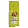 Purina Dog Chow Adult Con Cordero Y Arroz