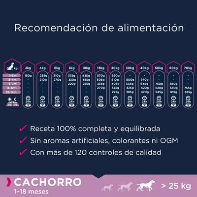 Eukanuba Grain Free Puppy Razas Grandes Con Salmón 6 Eukanuba Grain Free Puppy Razas Grandes Con Salmón - Imagen 6