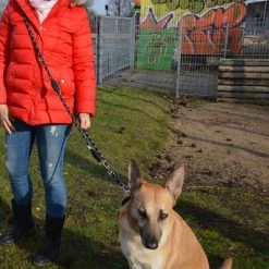 Julius K9 Correa Ajustable Julius-K9 IDC® Cordino Para Perros 12 Julius K9 Correa Ajustable Julius-K9 IDC® Cordino Para Perros -Trixie Ventas 89698 juliusk9 idcadjustableropeleash hs 11 2