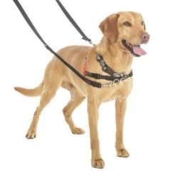 Correa Halti Para El Adiestramiento De Perros 13 Correa Halti Para El Adiestramiento De Perros -Trixie Ventas 94508 coa halti trainingsleine hs3 8