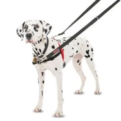 Arnés Antitirones Front Control HALTI Para Perros 15 Arnés Antitirones Front Control HALTI Para Perros -Trixie Ventas 94510 coa halti front controll harness hs 01 3