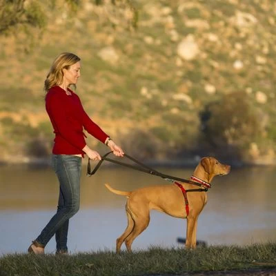 Arnés Antitirones Front Control HALTI Para Perros 3 Arnés Antitirones Front Control HALTI Para Perros - Imagen 3