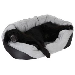 Cama Ortopédica Lazy Para Perros 28 Cama Ortopédica Lazy Para Perros -Trixie Ventas 98296 aussiemix fg 4789 5