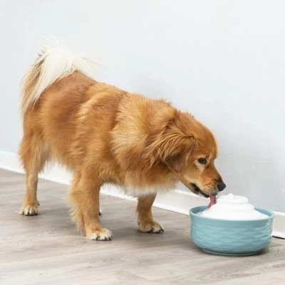 Bebedero Fuente Trixie Vital Falls De Cerámica 3 Bebedero Fuente Trixie Vital Falls De Cerámica - Imagen 3