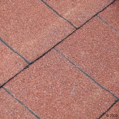 Caseta Para Perros Spike Special 5 Caseta Para Perros Spike Special - Imagen 5