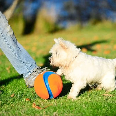 Pelota Chuckit! Kick Fetch Para Perros 2 Pelota Chuckit! Kick Fetch Para Perros - Imagen 2