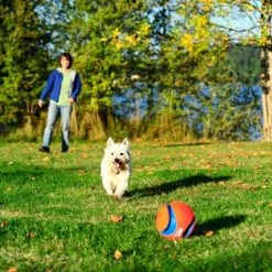 Pelota Chuckit! Kick Fetch Para Perros 9 Pelota Chuckit! Kick Fetch Para Perros -Trixie Ventas 99703 petmate chuckit kick fetch large hs 04 9