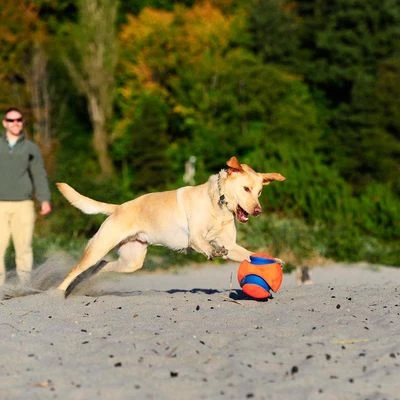 Pelota Chuckit! Kick Fetch Para Perros 4 Pelota Chuckit! Kick Fetch Para Perros - Imagen 4