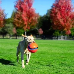 Pelota Chuckit! Kick Fetch Para Perros 11 Pelota Chuckit! Kick Fetch Para Perros -Trixie Ventas 99703 petmate chuckit kick fetch large hs 06 3