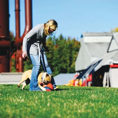 Pelota Chuckit! Kick Fetch Para Perros 6 Pelota Chuckit! Kick Fetch Para Perros - Imagen 6