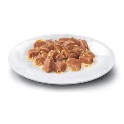 Concept For Life Sterilised Cats En Gelatina 5 Concept For Life Sterilised Cats En Gelatina -Trixie Ventas adult jelly shop 7