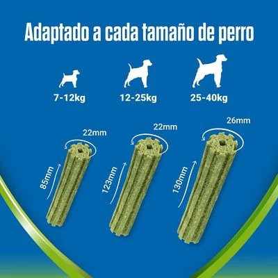 PURINA Dentalife Active Fresh Snacks Dentales Para Perros Grandes 6 PURINA Dentalife Active Fresh Snacks Dentales Para Perros Grandes - Imagen 6