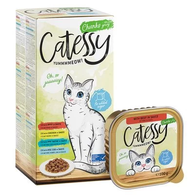 Catessy En Tarrinas 64 X 100 G - Pack Mixto 2 Catessy En Tarrinas 64 X 100 G - Pack Mixto - Imagen 2