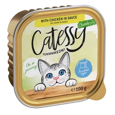 Catessy En Tarrinas 64 X 100 G - Pack Mixto 4 Catessy En Tarrinas 64 X 100 G - Pack Mixto - Imagen 4