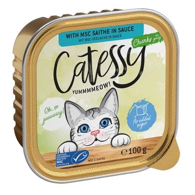Catessy En Tarrinas 64 X 100 G - Pack Mixto 5 Catessy En Tarrinas 64 X 100 G - Pack Mixto - Imagen 5