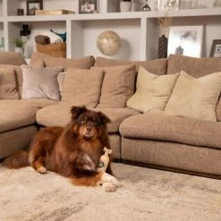 Pet Head Sensitive Soul Champú, Acondicionador Y Spray Para Perros 17 Pet Head Sensitive Soul Champú, Acondicionador Y Spray Para Perros -Trixie Ventas companyofanimals pethead sensitivesoul set3teilig hs 08 9