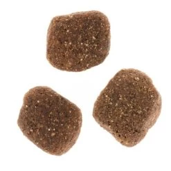 Wolf Of Wilderness The Taste Of The Mediterranean -Trixie Ventas dsc2639 2