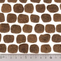 Wolf Of Wilderness The Taste Of The Mediterranean -Trixie Ventas dsc2642 0