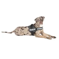 Julius K9 Arnés JULIUS-K9® Power Antracita Para Perros 11 Julius K9 Arnés JULIUS-K9® Power Antracita Para Perros -Trixie Ventas juliusk9 powergeschirr anthrazit 1